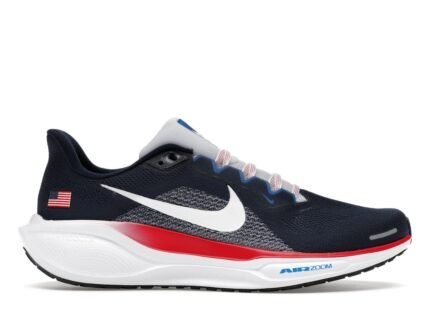 Nike pegasus 41