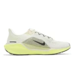 Nike pegasus 41